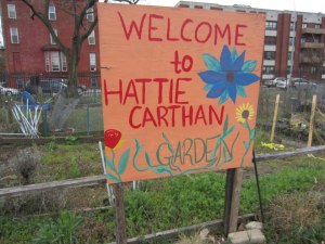 Hattie Carthan Garden